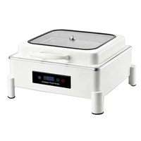 Réchaud électrique commercial pour hôtel, équipement de buffet traiteur, chafing dish en acier inoxydable, équipement de cuisine moderne 6L