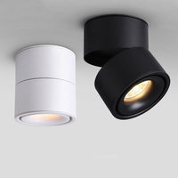 Projecteur à rail réglable grille ronde 12w Surface down light plafonnier réglable down light