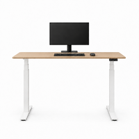 Base de bureau à double moteur, cadre de bureau électrique robuste pour postes de travail et usage domestique