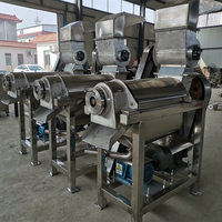 Commerciële pulpmachine met schroef, type 304 roestvrij staal, capaciteit 500-3000 kg/uur, voor fruit- en groenteverwerking