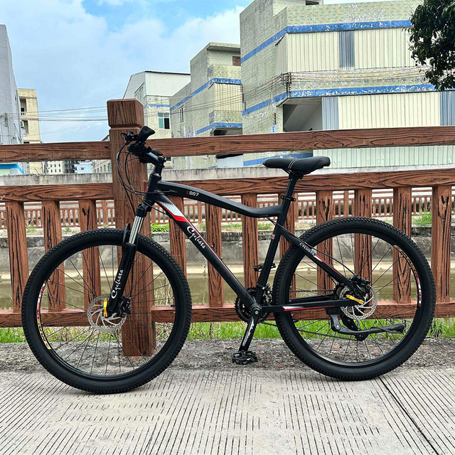 High Cost Performance Fine Workmanship Fast 350W 48V 10AH Lithium Battery Rear Hub Motor Disc Brake Electric Bicycle for Adults