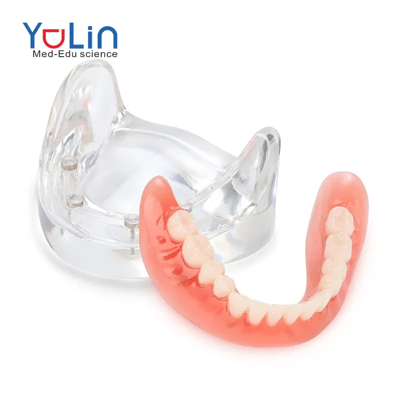 Upper and Lower Veneer Dentures for Women and Men Teeth Natural Shade Fix Your Smile at Home within Minutes