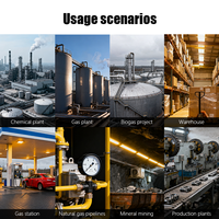 Analyseur de fuite de gaz industriel certifié antidéflagrant pour GPL, propane, CH4, gaz combustible naturel, détecteurs de fuite catalytiques