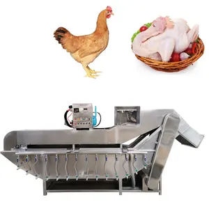 Automatic slaughter house equipment industrial chicken plucker machine poultry