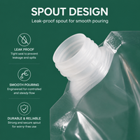 Sachets souples personnalisés imprimés pour bière, boissons et eau, réutilisables, avec bec verseur transparent et poignée