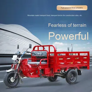 Motocicleta <span class=keywords><strong>de</strong></span> <span class=keywords><strong>Tres</strong></span> <span class=keywords><strong>Ruedas</strong></span> con Motor a Gasolina Certificada EEC Triciclo <span class=keywords><strong>de</strong></span> Carga Pesada para Uso Doméstico y Agrícola - Product Image 2