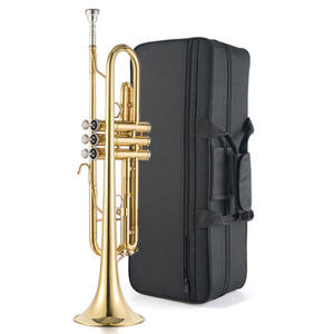 Trompette en Si bémol, corps en laiton jaune, laque dorée, 3 pistons, valves en acier inoxydable, étui - Product Image 5