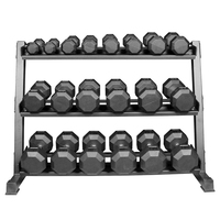 Precio de Fábrica: Soporte Vertical Plegable y Ajustable de Tres Niveles para Mancuernas, Capacidad para 10 Pares, Equipo de Gimnasio de Acero Duradero para Pesas Libres
