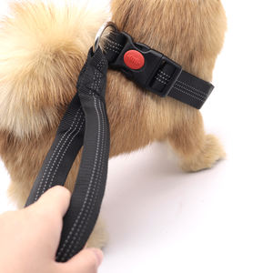Collar Ajustable de Nailon para Perro con Correa, Diseño de Encaje Sólido, Ecológico, 130CM, para Perros Grandes, Uso en Exteriores - Product Image 4