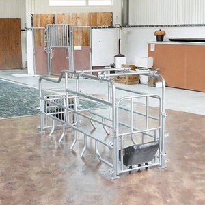 Productos Populares: Equipo para Cría de <span class=keywords><strong>Cerdos</strong></span>, Corrales de Gestación para Cerdas, Jaulas de Gestación - Product Image 3