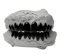 Grillz dentaires Hip Hop unisexe en argent 925, ensemble complet de crocs de vampire polis noirs, pour dents supérieures et inférieures, bijoux