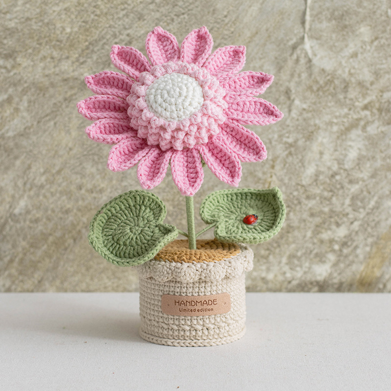 Girasol - Rosa