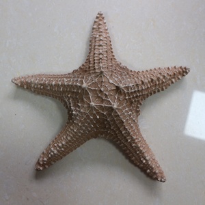Hars Oceaan Zee Ster Boetiek <span class=keywords><strong>Aquarium</strong></span> Handgemaakt Handwerk Maritieme Artikelen Huisdecoratie Stukken - Product Image 2