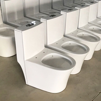 Offre Spéciale populaire dans les articles sanitaires en céramique sud-américains Siphonic One Piece Commode Wc Toilet