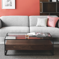 Table basse en verre style nordique, meuble personnalisé de haute qualité, avec rangement en bois, pour salon