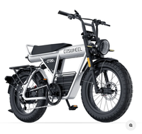 Vélo électrique à cadre en aluminium en stock UE, batterie cachée 1200Wh, Bomber 48V Enduro, pneus larges 20*5, VTT tout-terrain