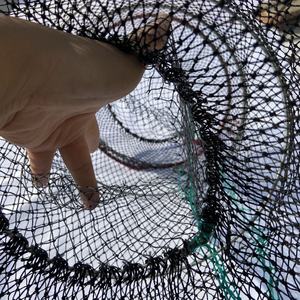 Commercial printemps pêche <span class=keywords><strong>homard</strong></span> pièges crabe Cages <span class=keywords><strong>à</strong></span> <span class=keywords><strong>vendre</strong></span> plastique enduit noir PE filet pliable crabe Pot - Product Image 4