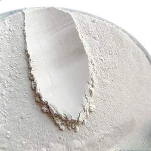 Poudre d'argile <span class=keywords><strong>diatomée</strong></span> naturelle <span class=keywords><strong>de</strong></span> qualité alimentaire à haute pureté, dépôt minéral non métallique pour l'aide au filtrage et la détoxification - Product Image 4