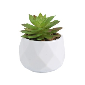 Mini Planta Suculenta Artificial en Maceta de Cerámica con Diamantes Multicolores, Decoración Verde para Mesa, Hogar, Regalo, Venta al por Mayor - Product Image 5