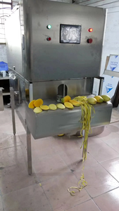 フルーツスキンピーラー産業用リンゴ皮むき・分離機 - Product Image 4