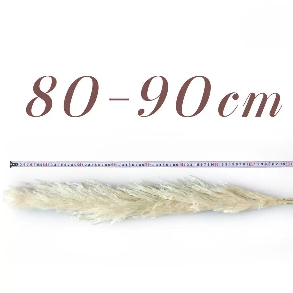 80cm-90cm