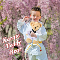 Houwsbaby Ours en peluche Taekwondo, ours en peluche Karaté, ours en peluche Arts martiaux, cadeaux adorables pour les enfants de Taekwondo
