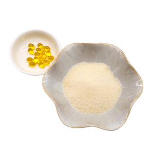 Poudre de gélatine instantanée Foodmate E441-Qualité alimentaire, dissolution 60 sec, sacs de 25kg - Product Image 3