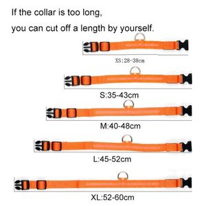 USB di Ricarica di Sicurezza Collare di Cane Anti-Perso/Evitare Incidente D'<span class=keywords><strong>auto</strong></span> Collare Per Cani Cuccioli di Cane Collari Leads LED Forniture di Prodotti Per Animali Domestici - Product Image 6