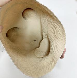 Máscara de Fiesta de Cabeza de <span class=keywords><strong>Perro</strong></span> Pastor Alemán de Lujo, Máscara de Látex Suave de Animal, Máscara de Disfraz Novedosa para Adultos - Product Image 5