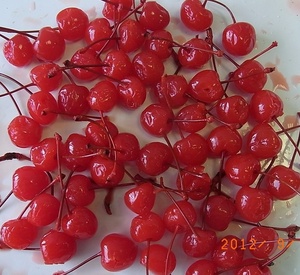 Cerezas Maraschino Enlatadas <span class=keywords><strong>al</strong></span> por Mayor de Alta Calidad en Agua Azucarada, Fruta Fresca y Deliciosa para Consumir, Conservada en Almíbar - Product Image 5