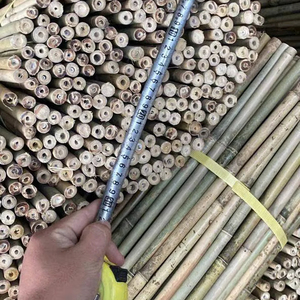 Wholesale Natural <b>Bamboo</b> Stakes for Garden Plant Support Durable Agricultural <b>Bamboo</b> <b>Canes</b> from Vietnam Factory - Product Image 4