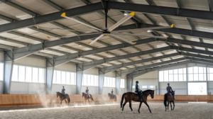 Gym HVLS Ceiling Fan 24FT Super Quiet Giant Industrial Fan for Stadium & Fitness Center 6 Blade <b>Big</b> Ceiling Fan by Bonawind - Product Image 3