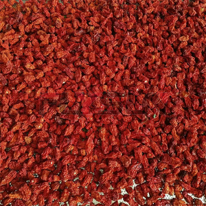 Equipo de Secado de <span class=keywords><strong>Pimientos</strong></span> <span class=keywords><strong>Verdes</strong></span> de Flujo Continuo Industrial con Control PLC, Alta Eficiencia y Baja Tasa de Rotura - Product Image 6