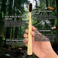 Naturel biodégradable manche conique brosse à dents bambou avec crins de cheval ou soies de sanglier premium