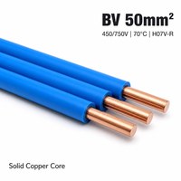 Kabel Bangunan Berisolasi PVC 50mm Inti Tunggal Tembaga Padat BV 450 750V Kabel Pemasangan Rumah Pabrik Bersertifikat CE
