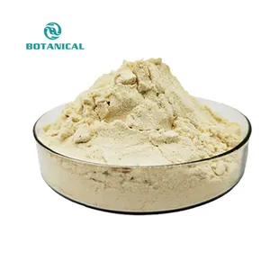 B.C.I Supply High Quality Semen Oroxyli Extract HPLC 98% Chrysin