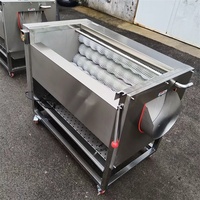 Volledig automatische fruitwasmachine met motor voor landbouwgebruik, lange levensduur