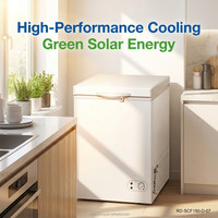 Congelador Solar de 150L, DC 12V 24V, Doble Voltaje, Congelador Profundo, Máquina de Hielo para Almacenamiento en Hogares, Tiendas y Aldeas Aisladas