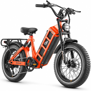 2026 Eahora Juliet 20 inch Electric BikeMax Torque 90 NM electric fat bike eu warehouse stock e bike with peddle support - Product Image 4