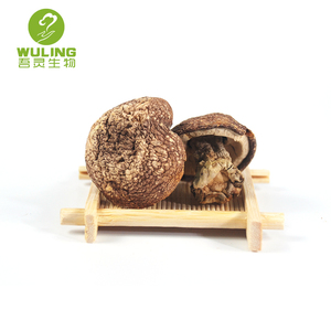 Fuente de la fábrica Agaricus Blazei Murrill Subrufescens Murill de polisacáridos Beta glucano polvo de extracto de - Product Image 3