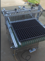 Semoir pneumatique semi-automatique pour le semis de plateaux de légumes Machine de semis de pépinière de haute précision pour poivre tomate melon