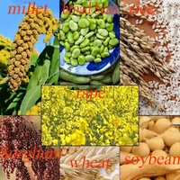 Batteuse multifonctionnelle Petite moissonneuse agricole soja blé riz sorgho colza riz grain ménage