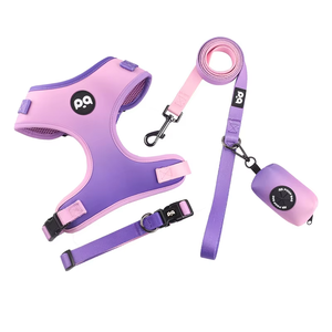 Imbracatura per cani in poliestere personalizzata all'ingrosso con fascia toracica e chiusura a bottone imbottita guinzaglio per animali domestici - Product Image 2