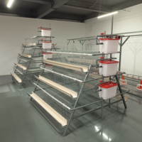Système de cages en batterie pour poulets de type A résistant à la corrosion pour élevages commerciaux