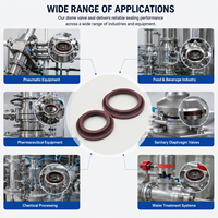 Joint d'étanchéité de valve gonflable FKM ODM personnalisé de haute qualité, résistant aux acides et aux alcalis, pour l'étanchéité dans les environnements corrosifs