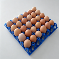 30 plateaux à œufs en plastique jaunes, bleus, gris, rouges pour le transport des œufs de poule