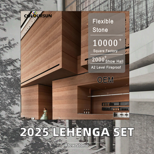 Ropa de fiesta de boda india mujeres niñas estilo Anarkali Lehenga Choli conjunto bordado vestido de seda de red encaje tamaños personalizados hasta el suelo - Product Image 2