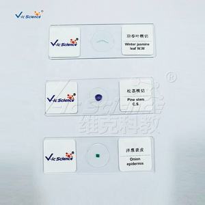 شرائح مجهرية تعليمية معدة مسبقًا لعلم الأحياء الدقيقة عالية الجودة، 12 قطعة من شرائح ميكروسكوب معدة مسبقًا لعرض تطور الخصية في البصل - Product Image 4