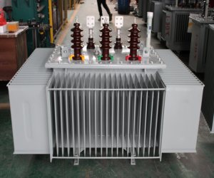 Трансформатор силовой масляный от 30 кВА до 2500 кВА, распределительный, с входным напряжением 10 кВ, частотой 50 Гц, трехфазный - Product Image 1