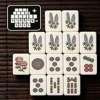 Jeu de Mahjong de Luxe en Acrylique Prune, Portable, pour Voyage, Jeu de Mahjong Chinois, Dominos Colorés Personnalisés, Divertissement Familial